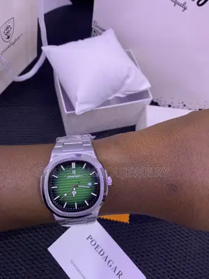 Stainless Steel Poedagar Watch for Men