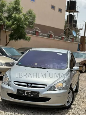 Peugeot 307 2006 Silver