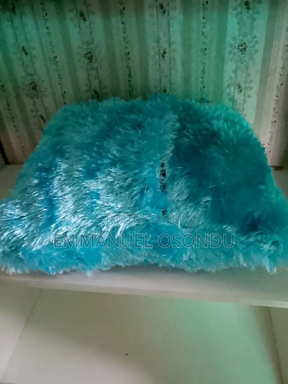 Throw Pillow