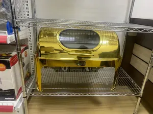 Chaffing Dish Gold