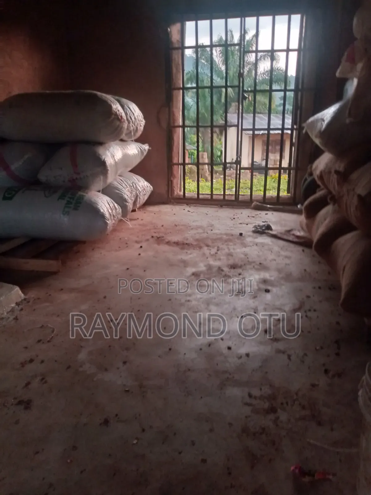 Cocoa Beans  Per Kilo