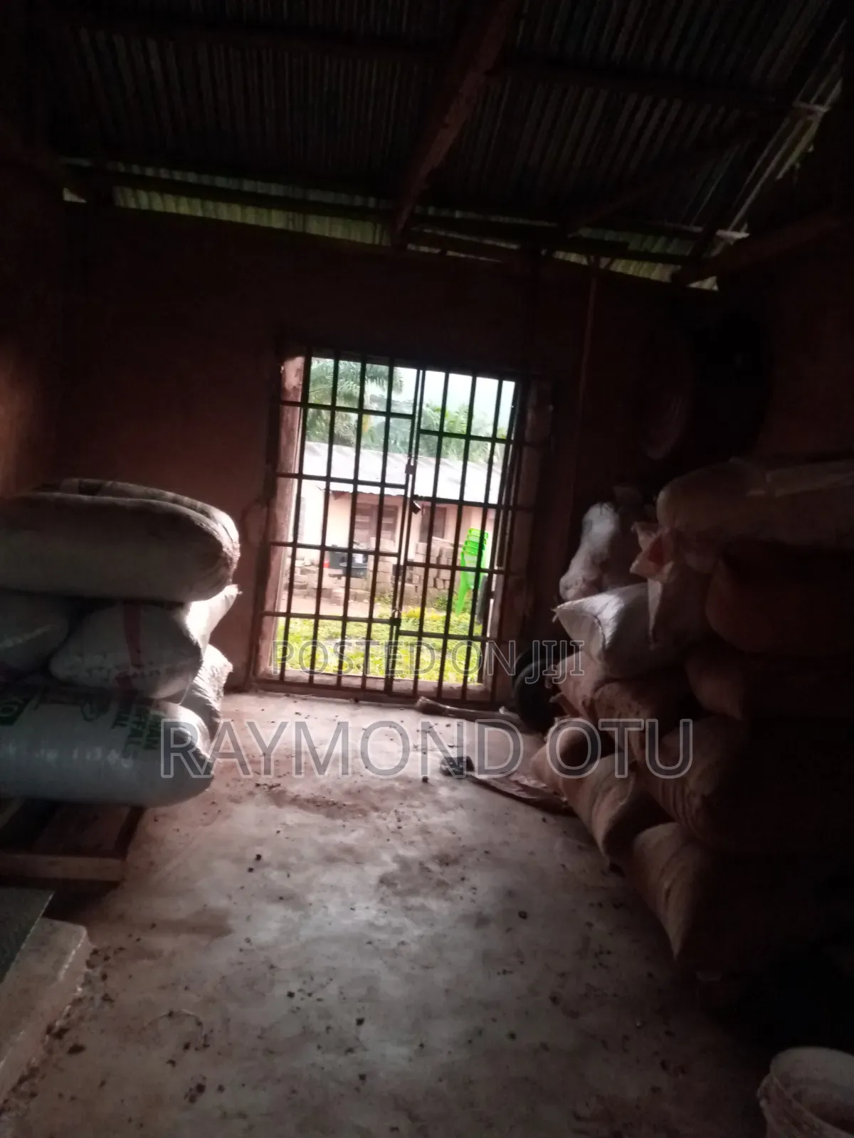 Cocoa Beans  Per Kilo
