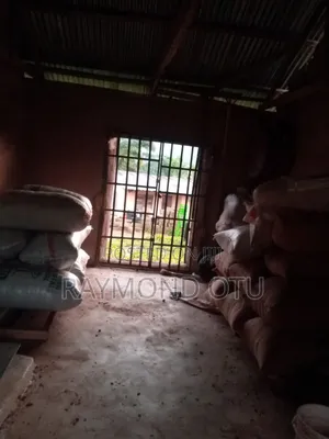 Cocoa Beans  Per Kilo