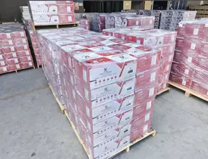 Solar Inverter