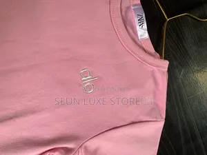 Zara Pink Alo Basic Top
