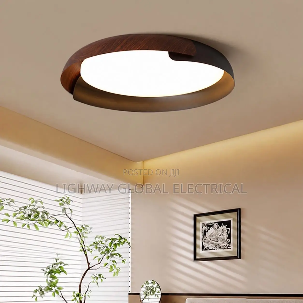 Newest Modern High End Ceiling Flosh Light