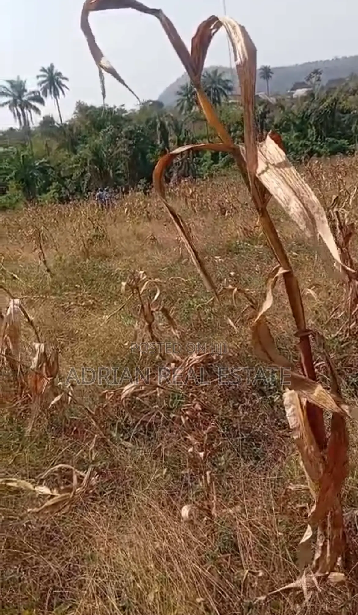 A Plot of Land in a Serene Environment