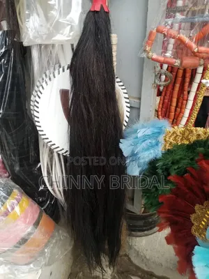 Quality Traditional Black Horse
