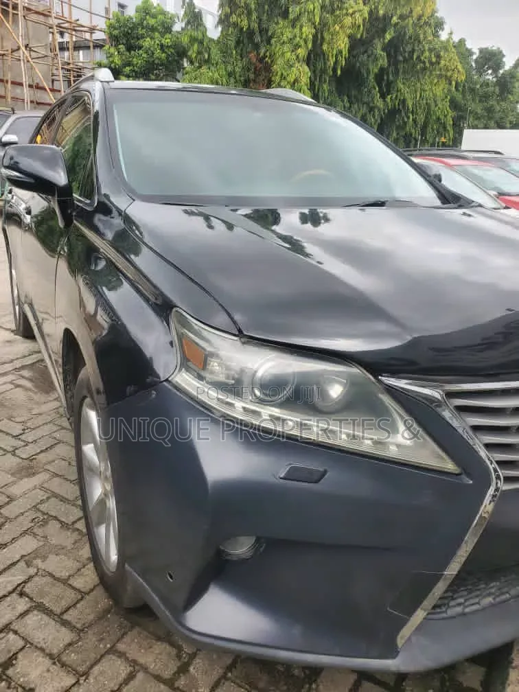 Lexus RX 2010 Black