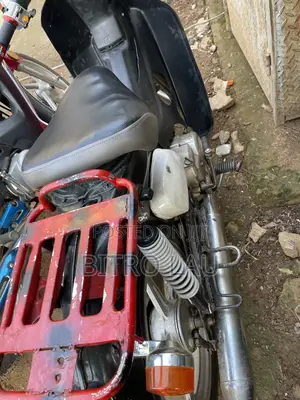 Honda 2010 Gray