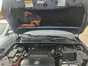 Toyota RAV4 2009 Blue