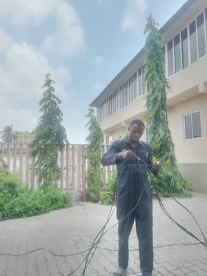 Mr Taiwo Adedeji