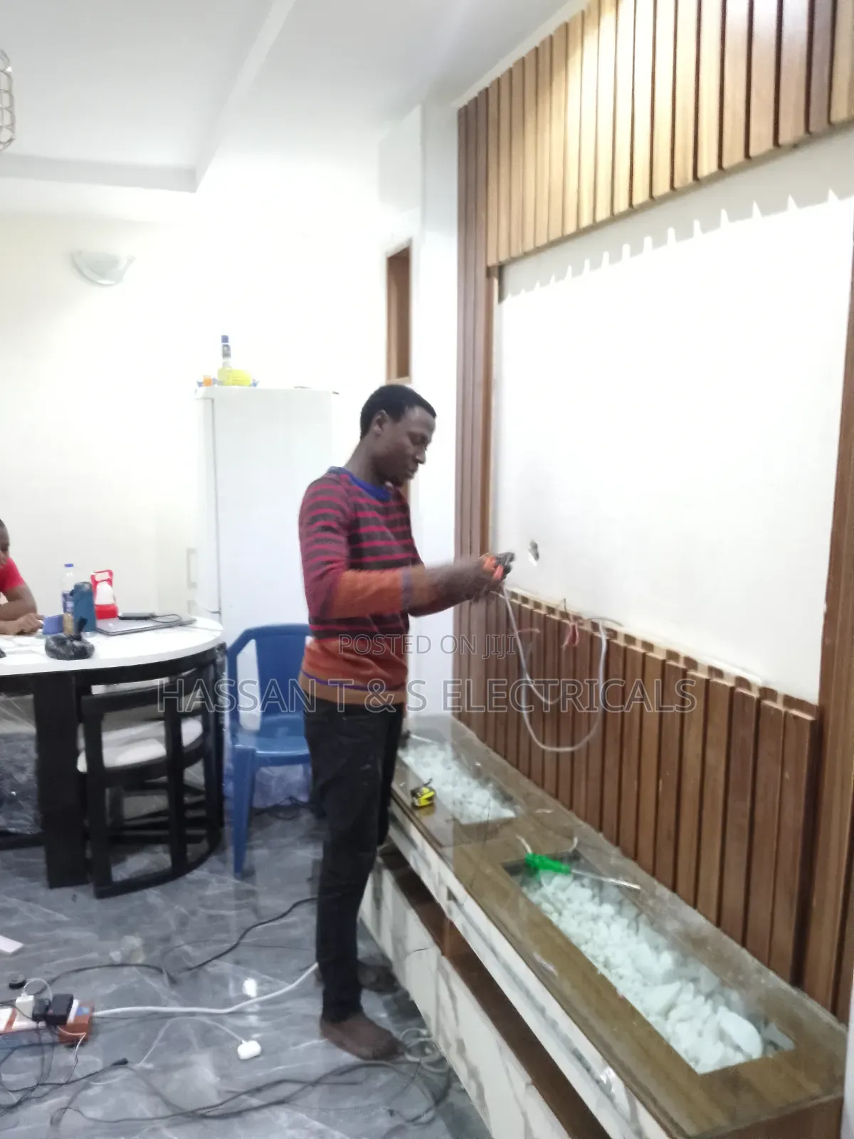 Professional Electrician