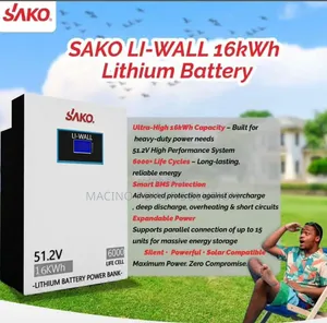 Sako 16kwh-48v Lithium Battery