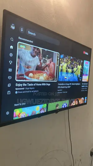 Television