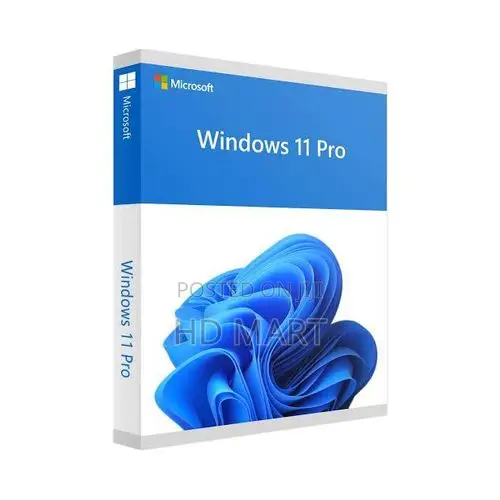 Windows 11 Pro 1pc