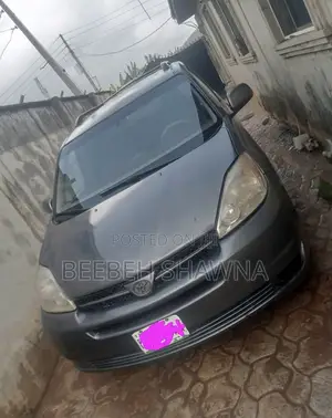 Toyota Sienna 2005 Gray