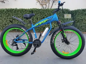 Fat Tire Bicycle