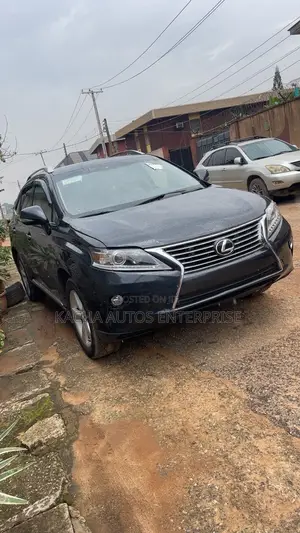 Lexus RX 2010 Gray