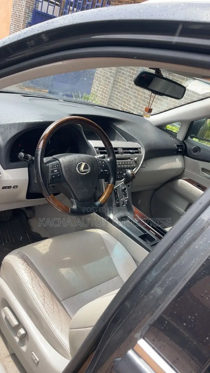 Lexus RX 2010 Gray