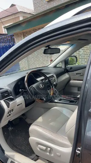Lexus RX 2010 Gray