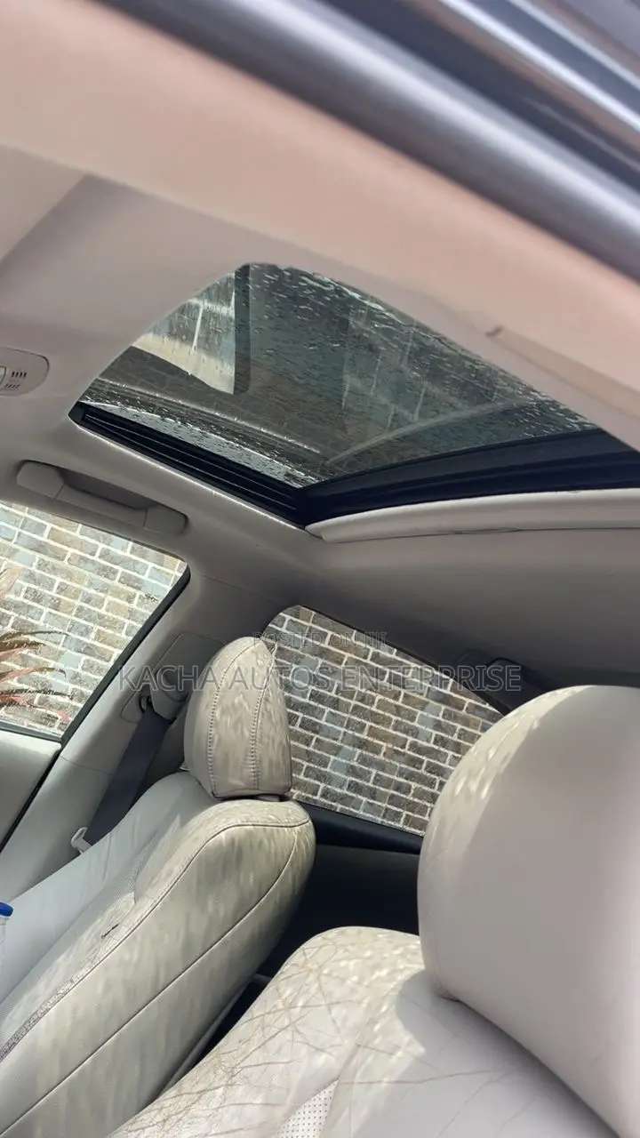 Lexus RX 2010 Gray