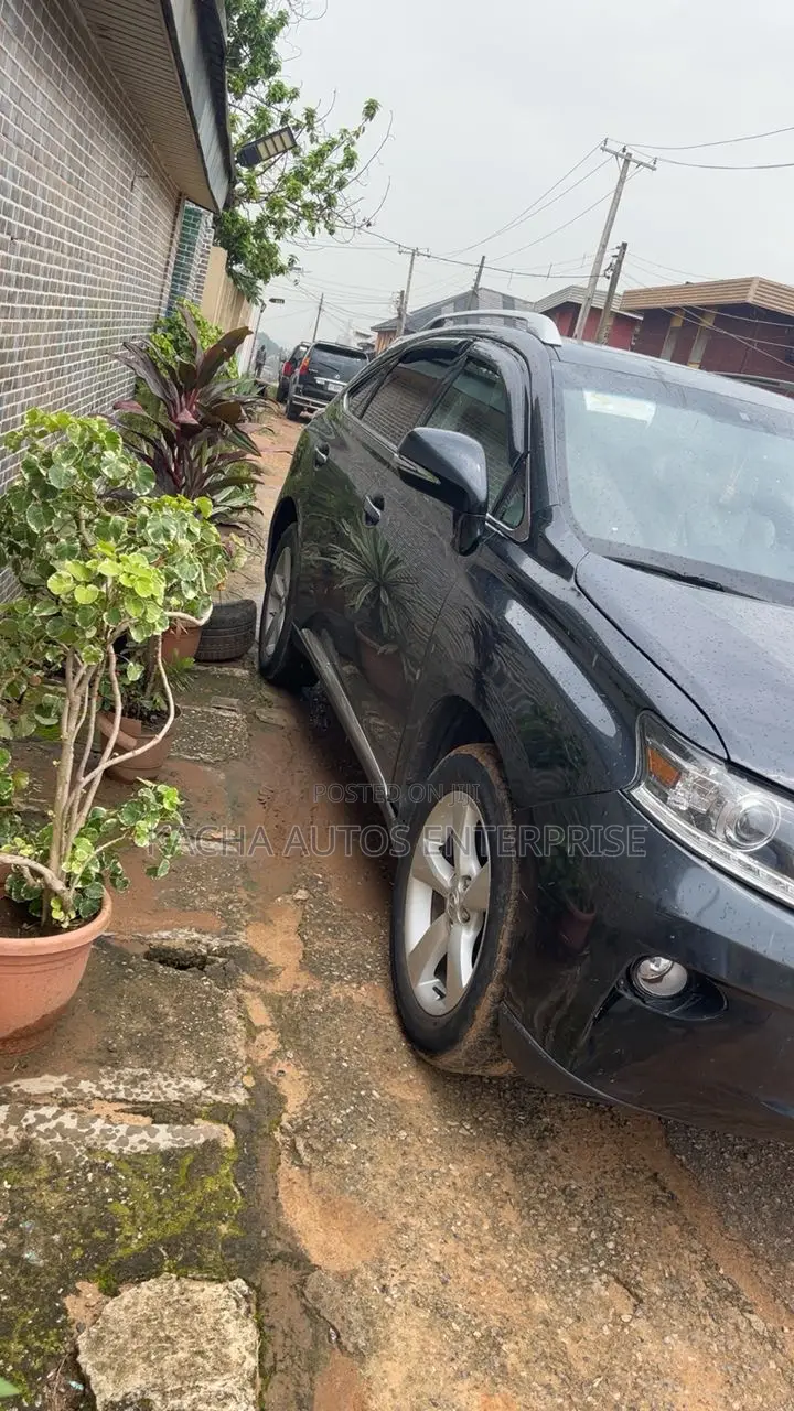 Lexus RX 2010 Gray