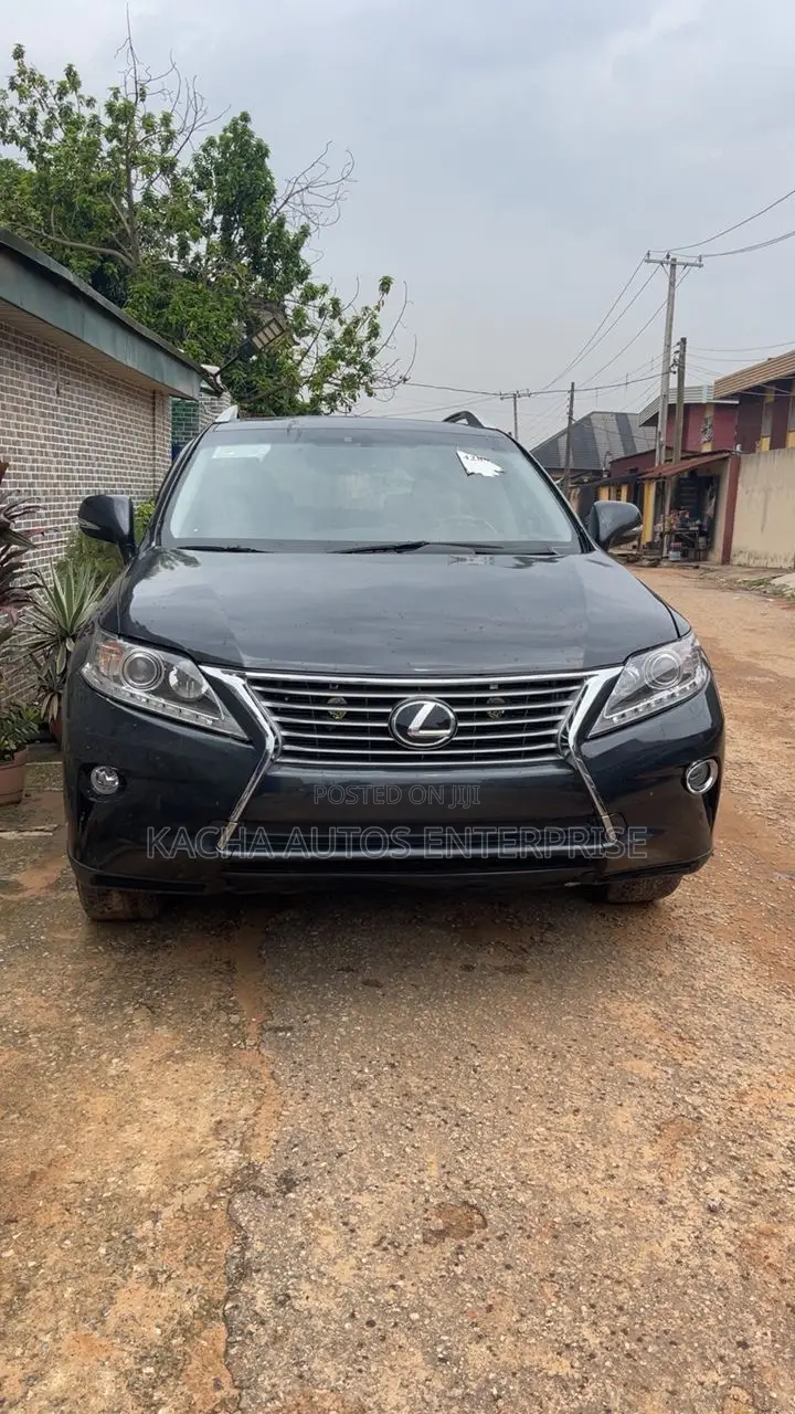 Lexus RX 2010 Gray