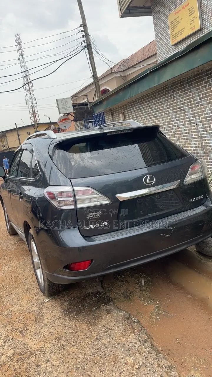 Lexus RX 2010 Gray