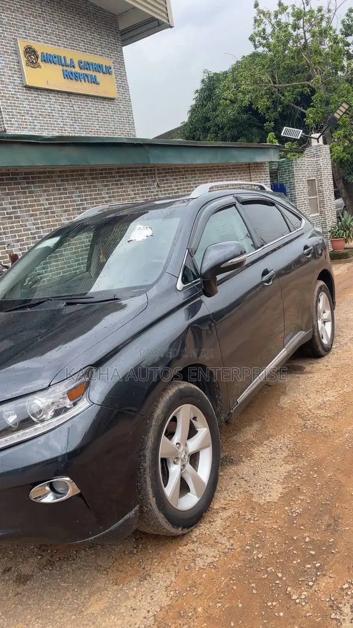 Lexus RX 2010 Gray