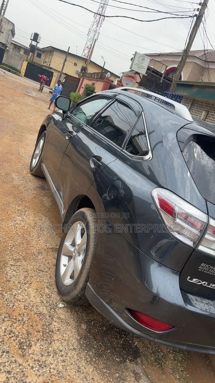 Lexus RX 2010 Gray