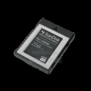Sandisk Professional Pro Cinema Cfexpress VPG 400 Type B Card 256gb