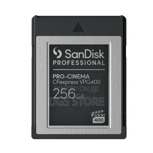Sandisk Professional Pro Cinema Cfexpress VPG 400 Type B Card 256gb