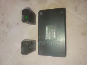 Sony Fw50 Battery (2) and Charger