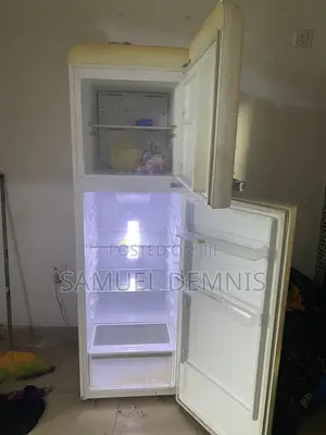 Double Door Fridge