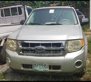 Ford Escape Hybrid 2007 Silver