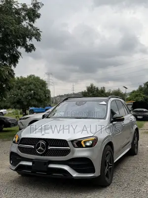 Mercedes-Benz GLE-Class GLE 450 4MATIC 2020 Silver