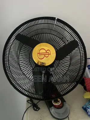 Wall Mounted Fan