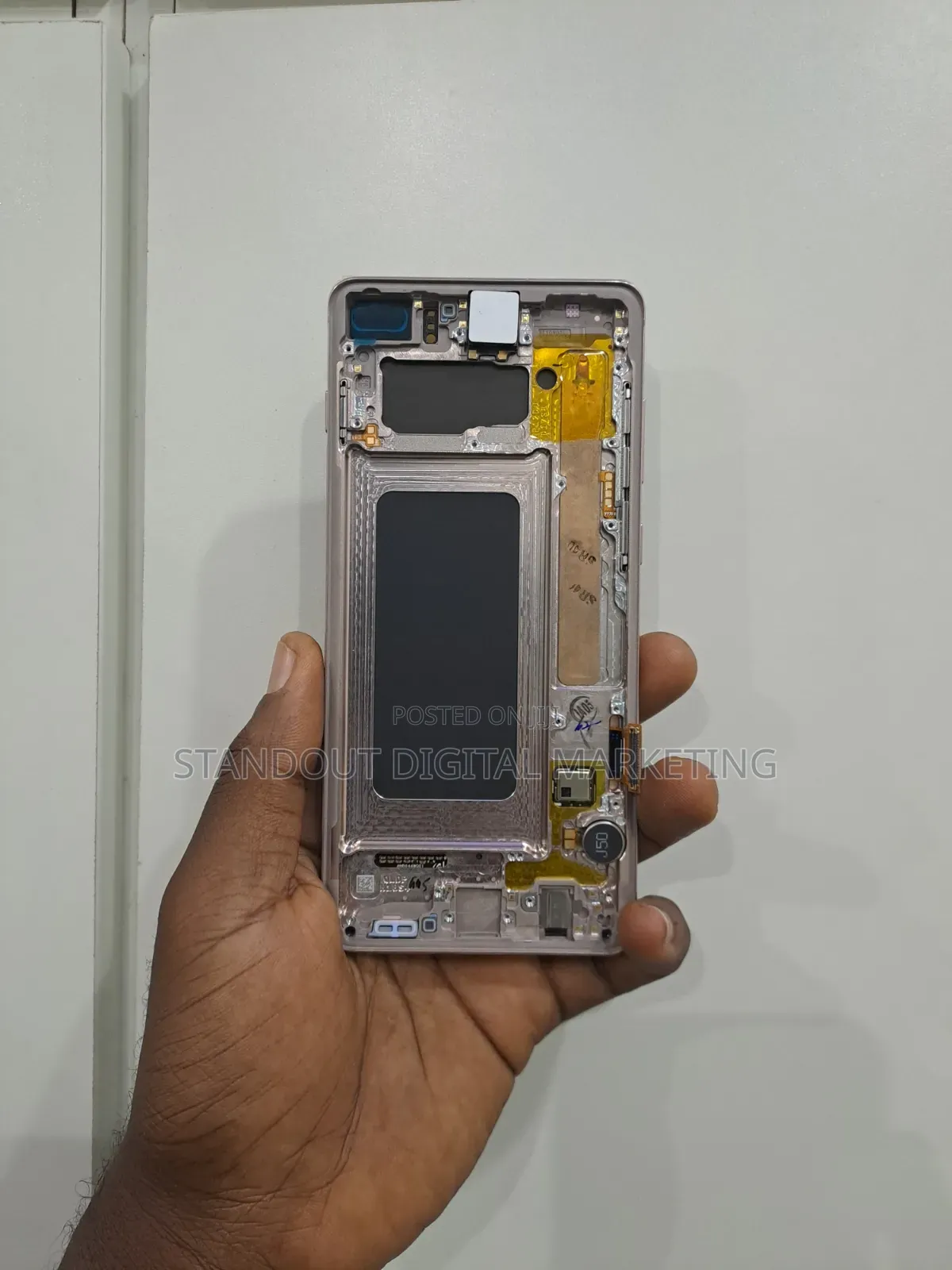 Direct Samsung S10plus Screen
