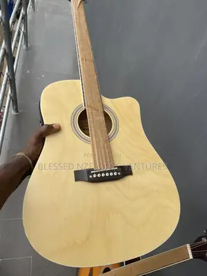 Semi Acoustic Guitar