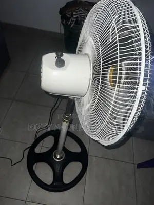 Standing Fan