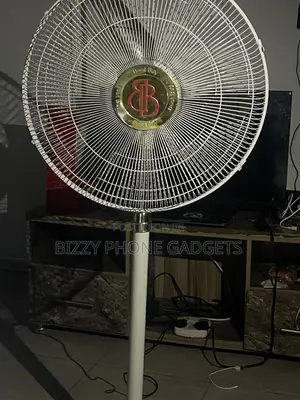 Standing Fan