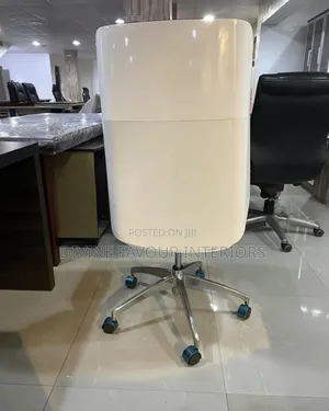 Executive Office Chair Black and White Back