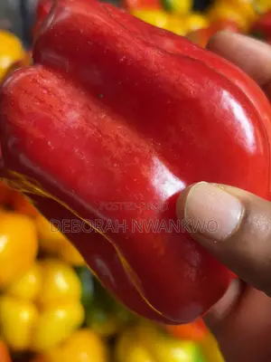 Vegetables