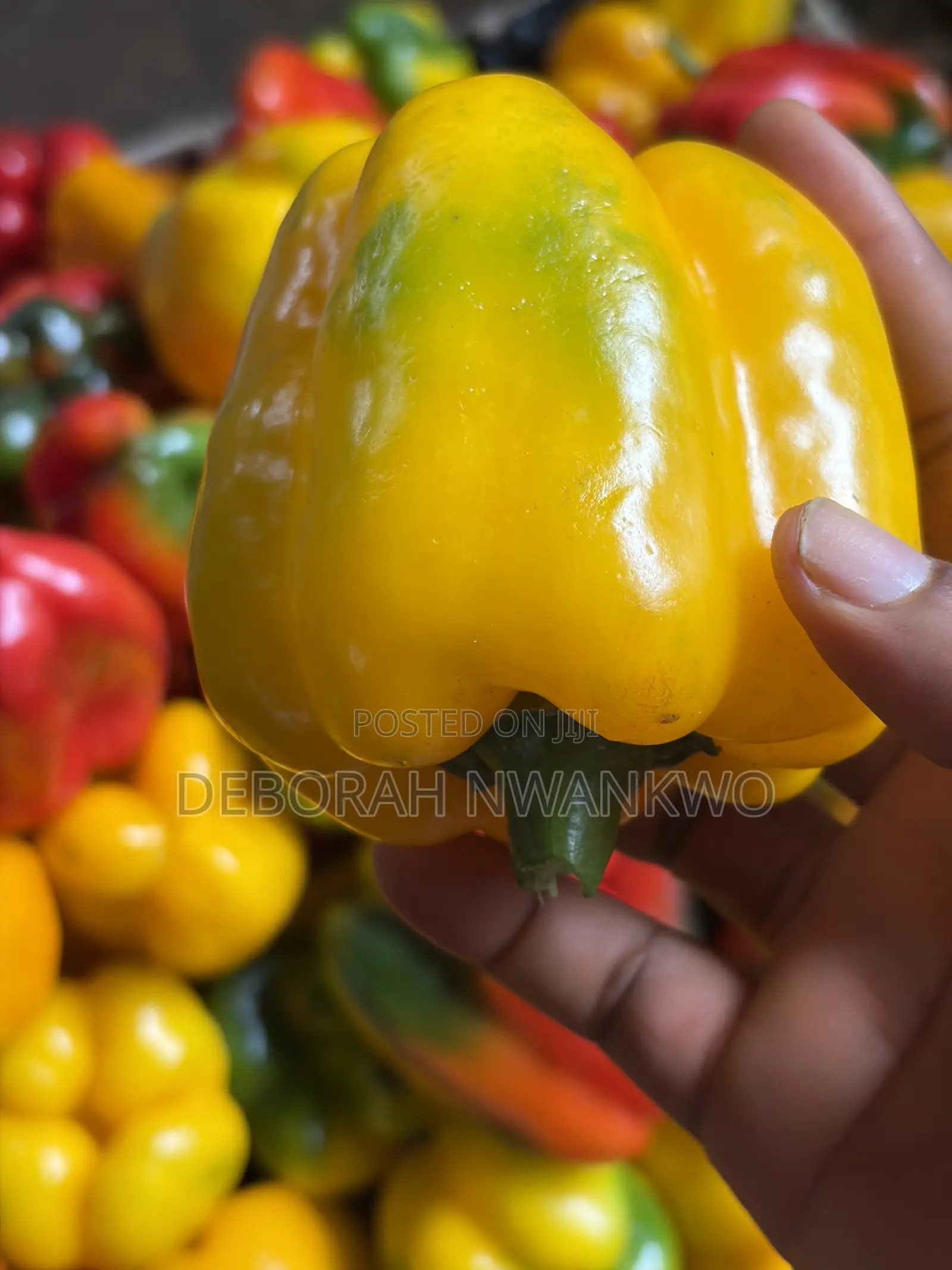 Vegetables