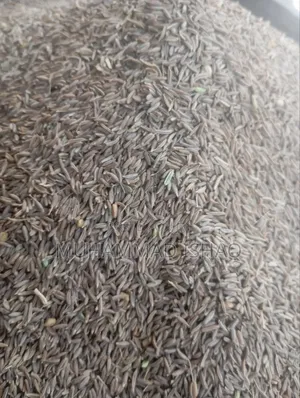 Spices and More