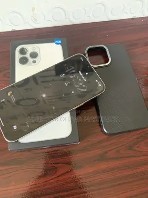 Apple iPhone 13 Pro Max 256 GB Silver