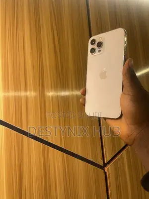 New Apple iPhone 12 Pro Max 256 GB Gold