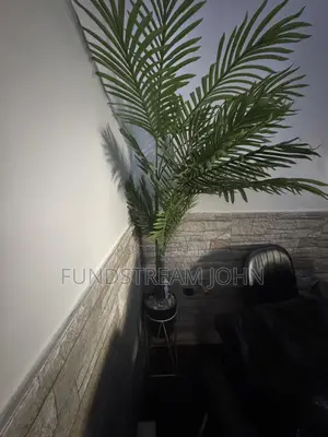 Flower Vase and Plant