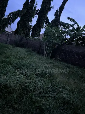 50 by 50 Land Available for Sale at New Karu